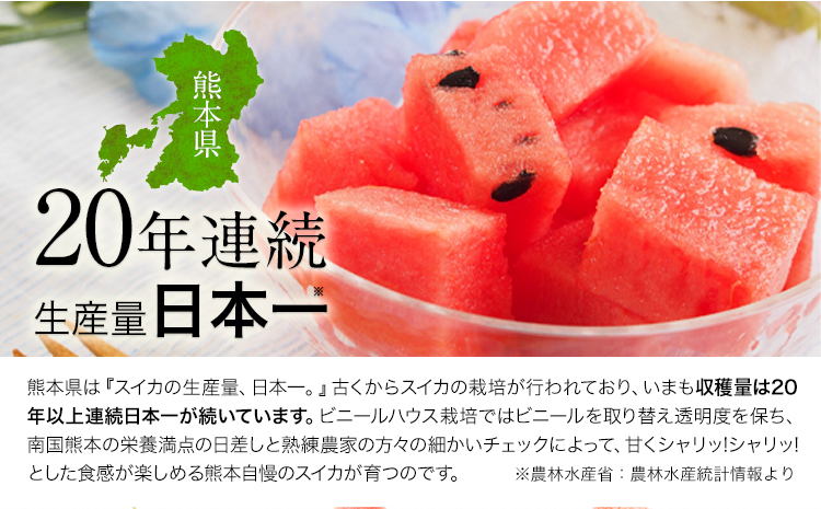 【先行予約】『きよたファーム』の黒小玉すいか2玉セット 1玉約2.5-4kg前後 『きよたファーム』《2026年7月上旬-8月中旬頃出荷》---sg_kfkodama_ae7_r7_13500_2p-