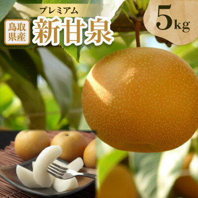 【ふるさと納税】プレミアム新甘泉 5kg【配送不可地域：離島・北海道・沖縄県】【1733711】