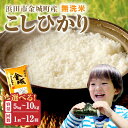 【ふるさと納税】【令和6年産】無洗米 浜田市金城町産こしひかり 【5kg 6kg 10kg/6回 12回】 選べる 定期便 米 こしひかり お米 新生活応援 お中元 お取り寄せ 特産 ごはん ご飯 コメ 新生活 応援 準備