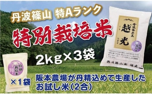 令和６年産　丹波篠山産　特Aランク　特別栽培米　越光（２ｋｇ×３袋）