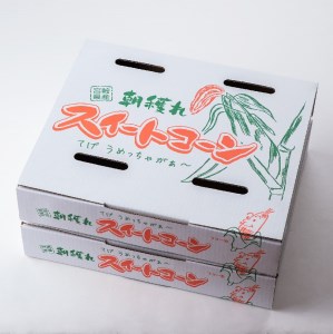 2024年発送 朝どれ！守部さんちのスイートコーン（ゴールドラッシュ） (Lサイズ5kg)【 先行予約 数量限定 期間限定 とうもろこし スイートコーン トウモロコシ スィートコーン 令和6年発送 】