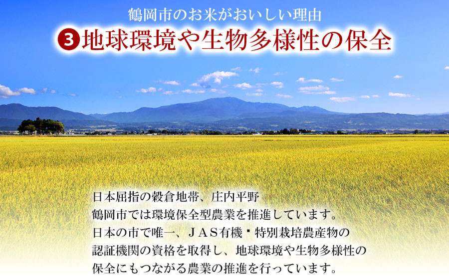 【令和7年産】はえぬき 精米 10kg (5kg×2袋)　山形県 庄内産　米食味鑑定士お薦め | 10キロ はえぬき 白米 精米 米 お米 おこめ コメ こめ 食品 ご飯 ごはん 山形県 鶴岡市 東北