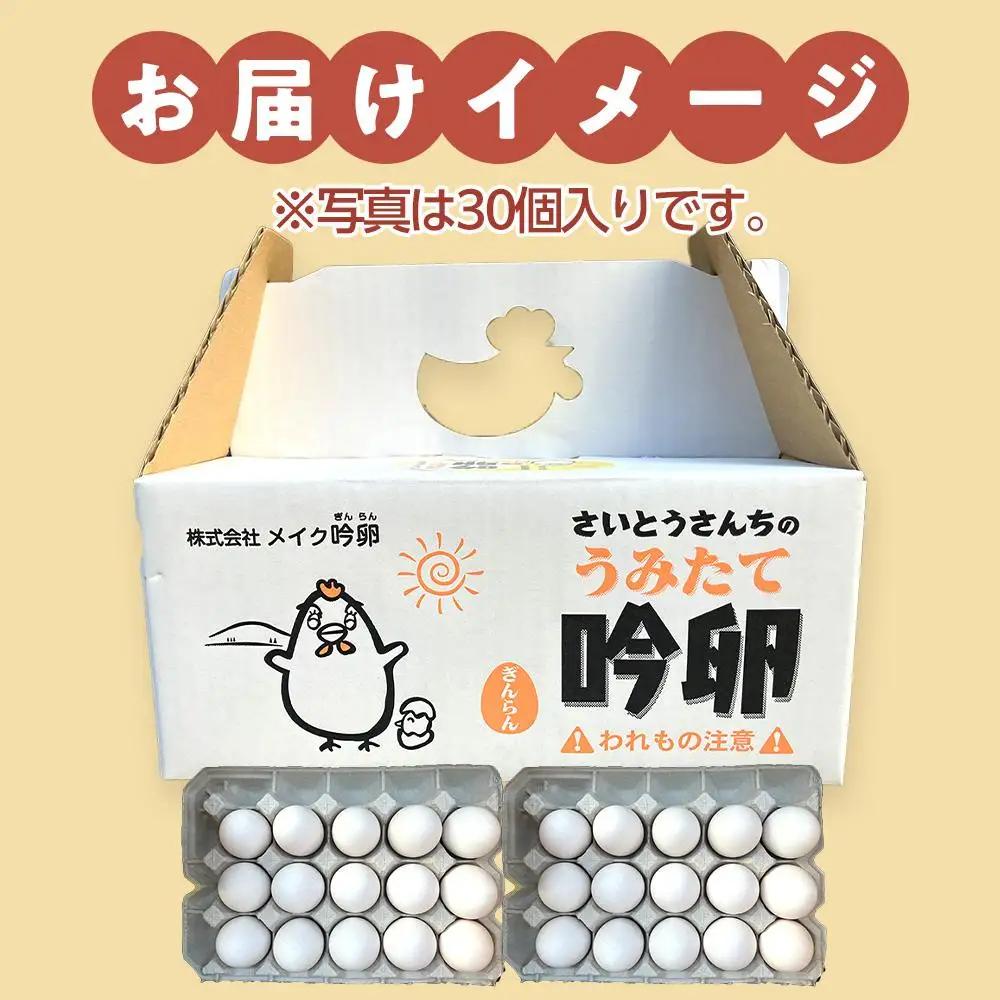 さいとうさんちのうみたて吟卵　30個入り 卵