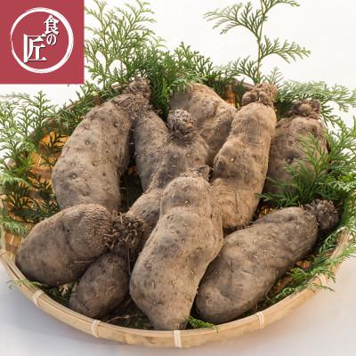 ふるさと納税 伊勢市 伊勢の横輪いも 1859 |  | 01