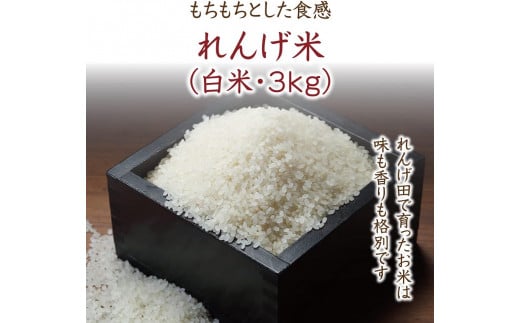 鏡野町産れんげ米＆はちみつ梅干（21876）