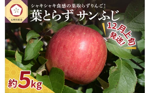 【2024年12月上旬発送】りんご 葉とらず サン ふじ 5kg 程度 青森【 林檎 リンゴ サンフジ サンふじ 】