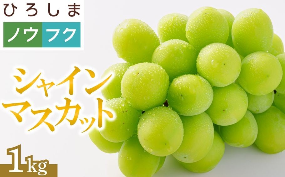 
                  【2026年先行受付】シャインマスカット 2房 1kg | ぶどう マスカット 高糖度 宗越園【農福連携】
                
