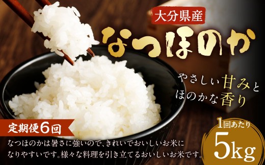 【6ヶ月定期便】 大分県産 なつほのか 5kg×6回 計30kg