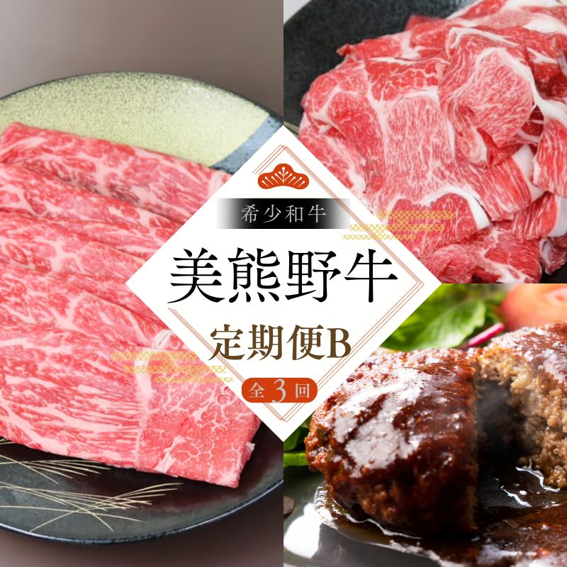 【ふるさと納税】 【全3回】美熊野牛 定期便B ＜すき焼きしゃぶしゃぶ用ロース＆赤身モモ肉 800g・切り落とし 800g・ハンバーグ 100g×5個＞ 牛肉 肉 ブランド牛 和牛 黒毛和牛 国産牛 すき焼き しゃぶしゃぶ 赤身 赤身肉 肉定期便 人気 希少 おすすめ 三重県 熊野市