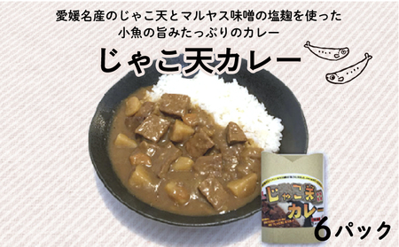 【 じゃこ天 】 じゃこ天カレー6パック