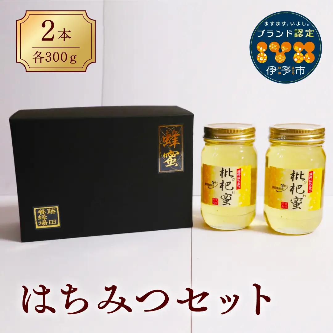 【2026年1月末以降発送】はちみつ びわ蜜×２本｜B38