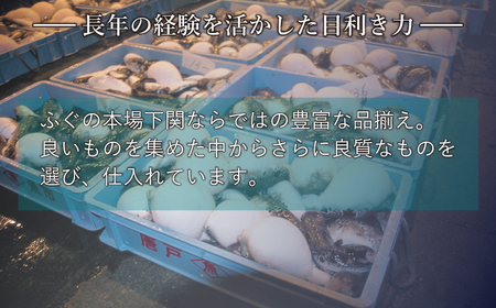 【期間限定】 ふぐざんまい ( 刺身 ・ 唐揚 ) 冷凍 2人前 ふぐ フグ とらふぐ トラフグ まふぐ マフグ ふぐ刺し AQ119