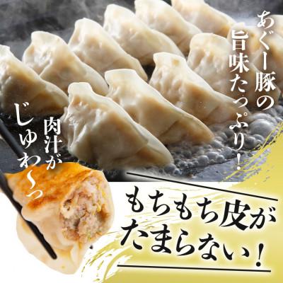 ふるさと納税 糸満市 沖縄高級ブランド豚 濃厚な肉汁が溢れる!美ら島あぐー餃子 20個入(400g)×3パック 合計60個 |  | 02