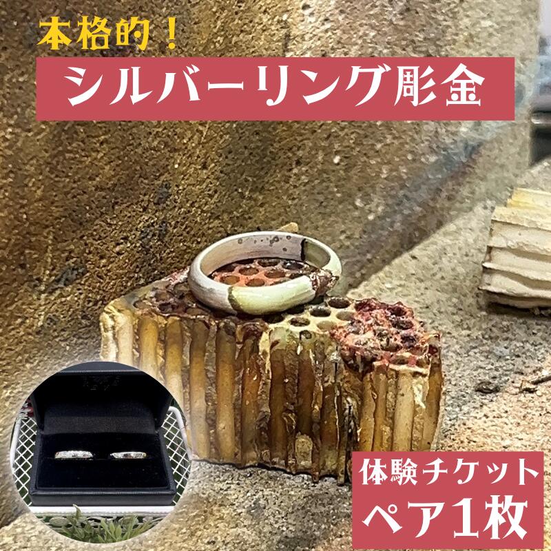 【ふるさと納税】 本格的！シルバーリング彫金　体験ペアチケット / みなべ町 アクセサリー リング シルバー シルバーリング 指輪 アクセサリー作り 指輪作り 手作り 創作 オリジナル 旅行 思い出 記念 DIY プレゼント ギフト チケット