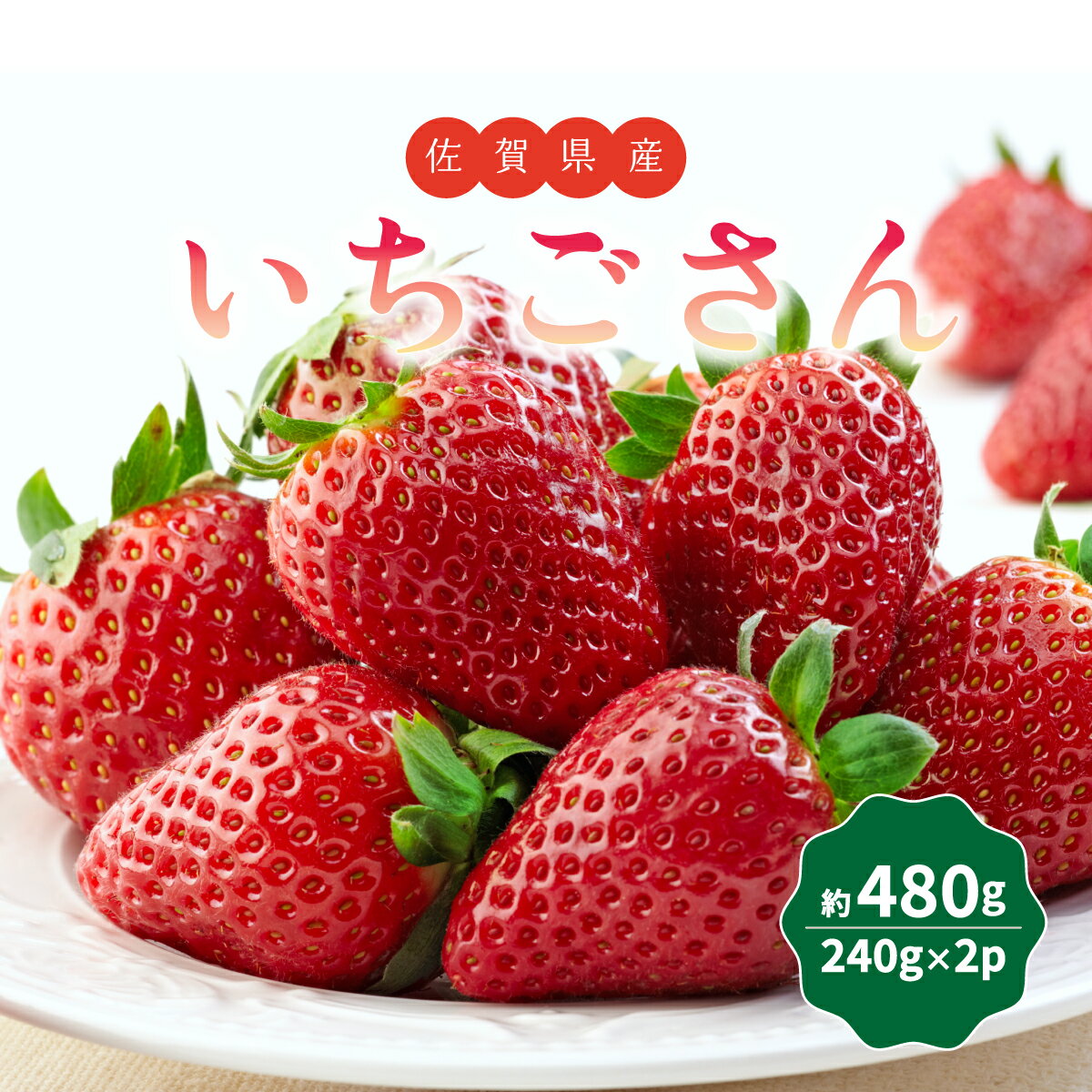 【ふるさと納税】佐賀県産いちご 「いちごさん」 480g (240g×2P) ／ いちご 苺 佐賀県 大町町 大町 イチゴ