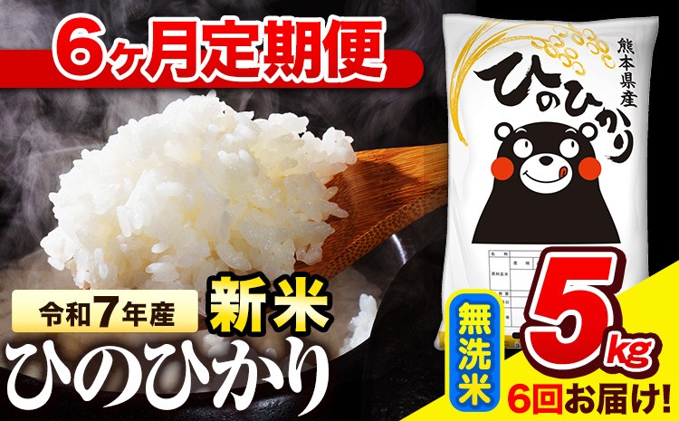 
             令和7年産 無洗米 【6ヶ月定期便】 ひのひかり 5kg《お申込み翌月から出荷》 熊本県産 無洗米 精米 氷川町 ひの 送料無料 ヒノヒカリ コメ 便利 ブランド米 お米 おこめ 熊本
          