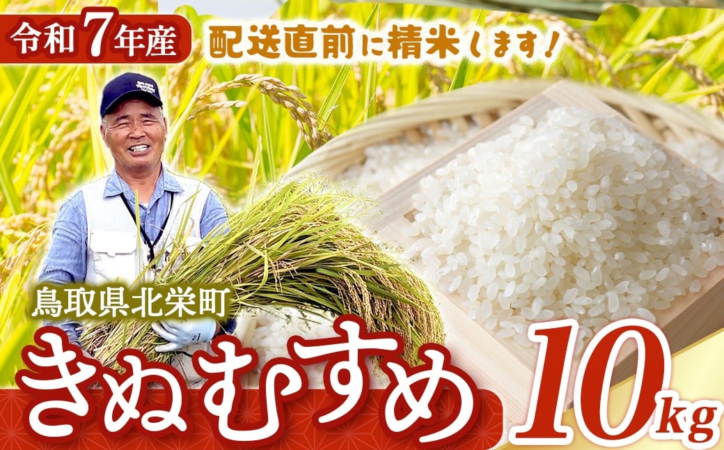 
                  【在庫限定】令和7年産米 きぬむすめ 10kg （大上農園）数量限定 お米 米 こめ コメ 白米 きぬむすめ ブランド米 鳥取県 倉吉市
                