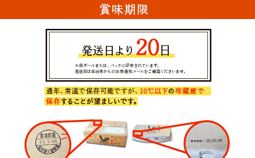 【わけあり】霧島山麓育ち こだわり卵 康卵 MSサイズ 計216個（196個 + 破損保証 20個）