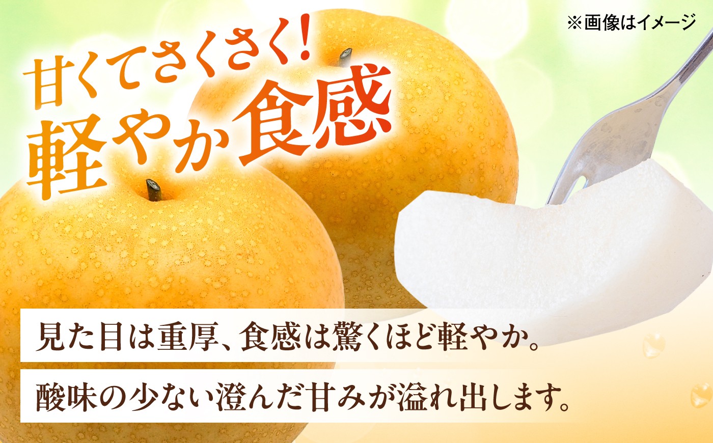 梨 なし ナシ 和梨 果物 フルーツ 国産梨 ナシ なし 豊水 ほうすい 甘い ジューシー 多汁 旬 愛媛