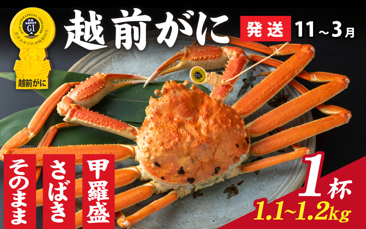 
【先行予約】選べる！美味しさ直送【成前特選】越前かに（1.1kg～1.2kg）×１杯【11月～3月発送】 [O-028050] / 福井県 雄 ズワイガニ ボイル 冷蔵 越前ガニ 越前がに 越前カニ ずわいがに ずわい蟹 かに カニ 蟹 希望日指定可
