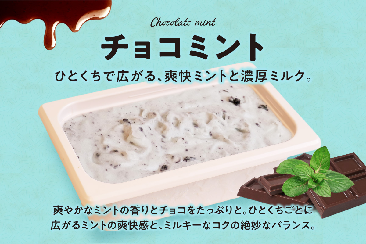 951アイスクリーム　バルクアイス2L×１個（チョコミント）  | アイス スイーツ 北海道 札幌市