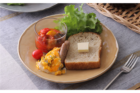 【美濃焼】大皿 25cm Nuan 5色セット 【EAST table】食器 うつわ プレート パスタ皿 皿 ワンプレート ランチ プレート 美濃焼 セット デザート インテリア おしゃれ 食器セット