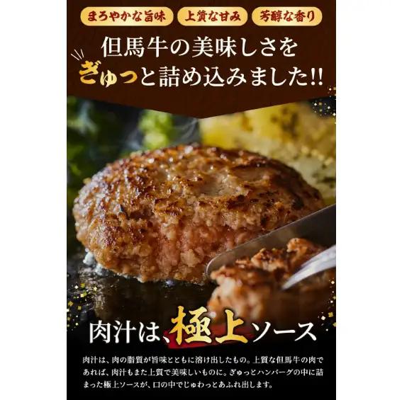 【累計5,000個突破！】但馬牛経産牛ハンバーグ（150g×5個）010AA09N.／個包装 牛肉 黒毛和牛 100% 国産 経産牛 和牛 赤身 味付け ほくぶ バーベキュー bbq キャンプ アウト