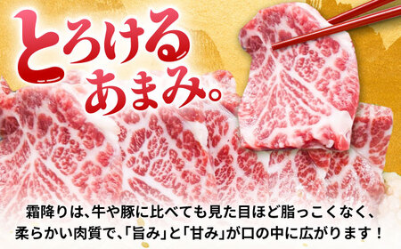 『純国産』熊本の味「桜」霜降り馬刺し「特選」 計約1.8kg（約300g×6セット） 霜降り 馬肉 馬刺 【有限会社 九州食肉産業】[AYCN028]
