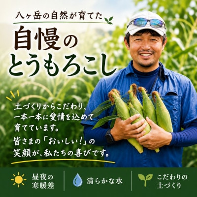 【2週間毎定期便】朝採り出荷　長野県茅野市産　とうもろこし　計約4kg全2回【配送不可地域：離島・北海道・沖縄県】