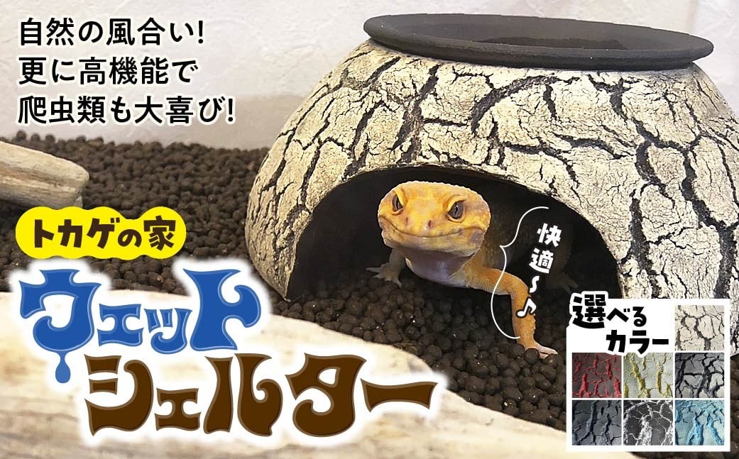 
            トカゲの家 ウェットシェルター 爬虫類 | ペット トカゲ とかげ ペット用品 爬虫類用 シェルター 隠れ家 飼育用品 家 カビ抑制 観察 陶器 おしゃれ おうち デザイン 飼育 レオパードゲッコー レオパ フトアゴ イモリ カエル ヘビ 脱皮 作家 アーティスト ギフト 作品 手づくり 陶芸家 インテリア オブジェ 自然 ナチュラル セキグチタカヒト 埼玉県 北本市
          