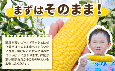 【先行予約】とうもろこし 約3kg 野木町産 老沼 利治《2026年6月中旬-7月中旬頃出荷》栃木県 野木町 ジューシー 生食可能 旬の野菜 バーベキュー 焼き 茹で とうもろこし ゴールドラッシュ 
