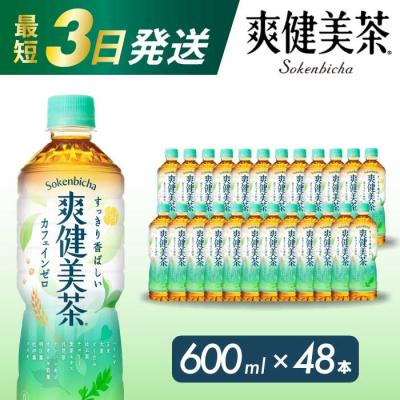 ふるさと納税 三原市 爽健美茶 600mlPET48本セット[014-058]