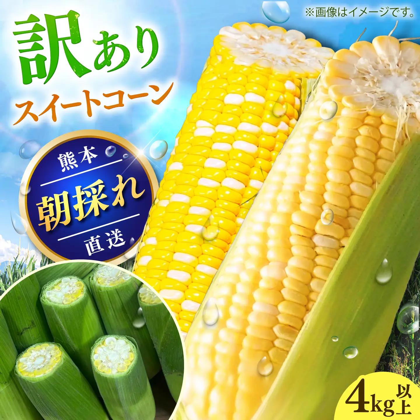 先行予約 2027年6月上旬より順次発送 訳あり スイートコーン(品種問わず) 4kg以上 スイートコーンBHCJ005