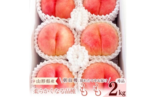 先行予約 令和8年産 山形の桃 やわらかくなる白桃 秀品 2kg 品種おまかせ 2026年産 山形県産【2026年8月上旬頃～9月下旬頃発送予定】※配送不可 沖縄・離島　010-B-RF005
