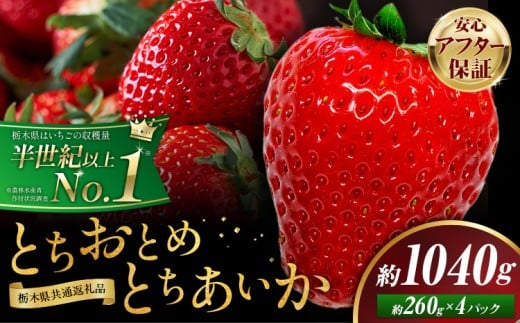 栃木 いちご 食べ比べ とちおとめ とちあいか 4パック 1040g 《1月中旬-5月末頃出荷》 栃木県 野木町 いちご イチゴ 苺 とちおとめ とちあいか 食べ比べ 果物 フルーツ ハート型 ジューシー 【配送不可地域】沖縄・離島