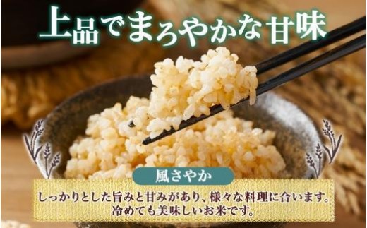 【2026年10月発送】令和8年産 風さやか 玄米 10kg×1袋 長野県産 米 お米 ごはん ライス 低GI 甘み 農家直送 産直 信州 人気 ギフト お取り寄せ 平林農園 送料無料 長野県 大町市