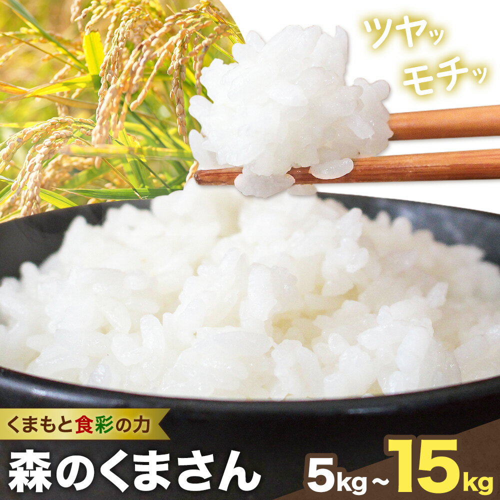 【ふるさと納税】米 森のくまさん 5kg 10kg 15kg くまもと食彩の力《60日以内に出荷予定(土日祝除く)》熊本県 長洲町 お米 こめ コメ