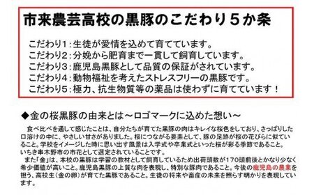 レンジでチン！金の桜黒豚 2種 おかず 詰め合わせ！6食入り 「金の桜黒豚煮込みハンバーグ（180g×3袋）」と「金の桜黒豚丼（180g×3袋）」冷蔵 小分け の おかず セット レンジ 簡単調理 レ