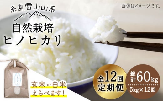 【令和7年産新米予約】【玄米】【全12回定期便】自然栽培ヒノヒカリ5kg《糸島》【大石ファーム】【2025年11月中旬以降初回発送】 [ATE019-1]