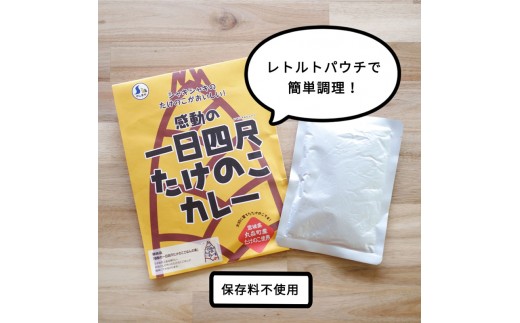 たけのこカレー1人前×4個セット