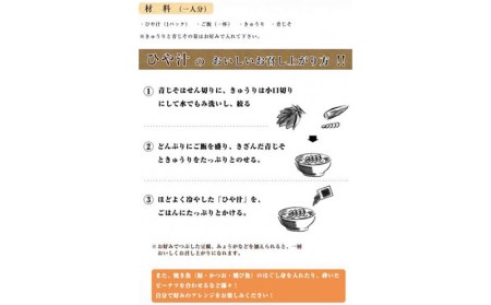 宮崎観光ホテル 冷汁 8パック 詰め合わせ 冷や汁 ひやじる ひや汁 白身魚 味噌 ダシ汁 郷土料理 常温 手軽 本格的 ご飯 グルメ 名物 名産品 ギフト お取り寄せ