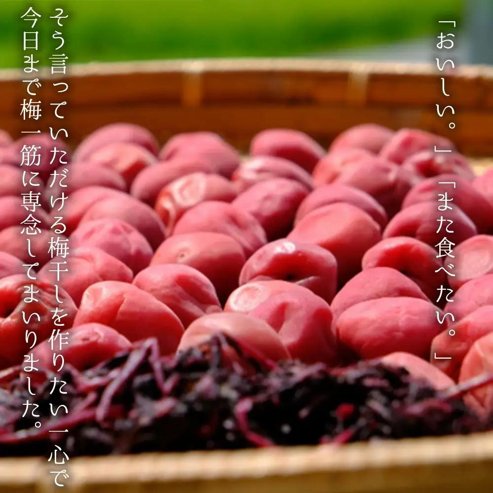 はちみつ梅干　フレッシュ感そのまま個包装タイプ　14g(2L)×60粒　紀州南高梅　完熟うめ　塩分約5％ nankiume002A【nankiume002A】