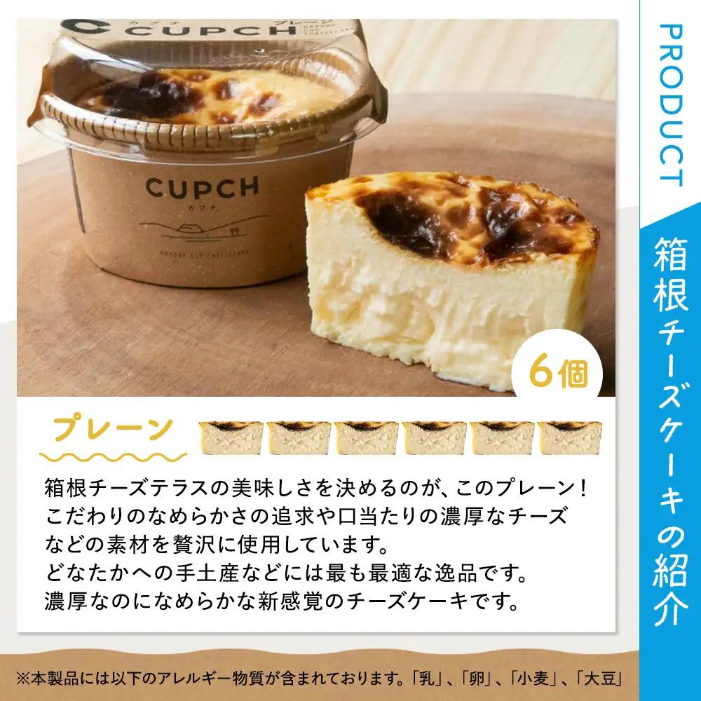 箱根発！なめらか濃厚バスクチーズケーキ 箱根チーズテラス・カプチ 【プレーン6個セット】｜スイーツ チーズケーキ 人気 おすすめ お菓子 デザート 濃厚 洋菓子 ギフト おやつ 送料無料 神奈川県 小