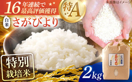 さがびより 白米 2kg /江口農園[UBF011] 白米