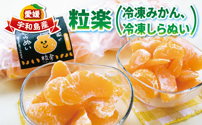 
冷凍 みかん 2袋 冷凍 しらぬい 1袋 各500g 粒楽 皮なし 冷凍みかん 冷凍フルーツ 南四国ファーム 蜜柑 不知火 デザート スイーツ 天然 シャーベット アイス 果物 フルーツ 柑橘 冷凍 加工品 産地直送 国産 愛媛 宇和島 J012-035009
