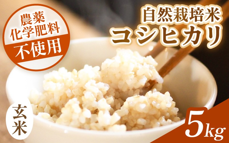 
                  【先行予約】【令和8年産】コシヒカリ 玄米 5kg 化学肥料 農薬不使用 自然栽培米 / 北陸 福井県産 あわら市 ブランド米 玄米 お米 コメ ※2026年10月上旬以降順次発送予定 [aw138-b001]
                