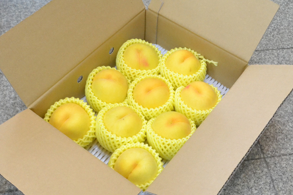 
                  08-10-015　もも(光黄)3kg
                