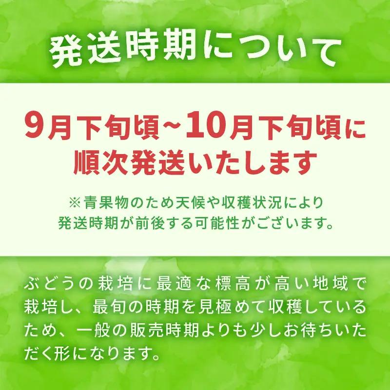 【2026年発送】【期間限定】八ヶ岳南麓の天然水で育てたシャインマスカット 1.2kg(3～4房) [h198]