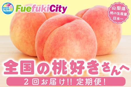【2026年発送 先行予約】2回定期便 旬のフルーツ定期便（桃白鳳系1㎏・桃白桃系1㎏）180-028-26y