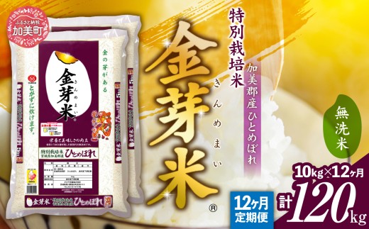 【新米予約】金芽米 定期便 無洗米 10kg (5kg×2袋)× 12ヶ月 計 120kg 令和8年 米 特別栽培米 ひとめぼれ 宮城県 加美産 BG無洗米 [ 宮城県 加美町 ] km-km-knm10-t12-r8